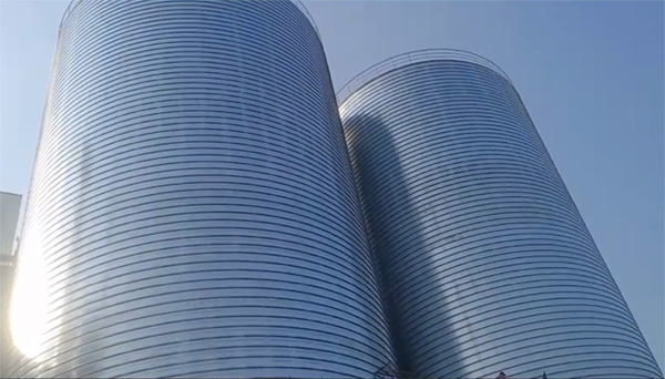 东河2座混凝土高架卷板仓